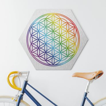 Hexagone en alu Dibond - Flower of Life rainbow color