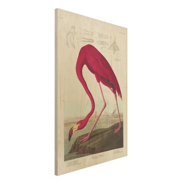 Impression sur bois - Vintage Board American Flamingo