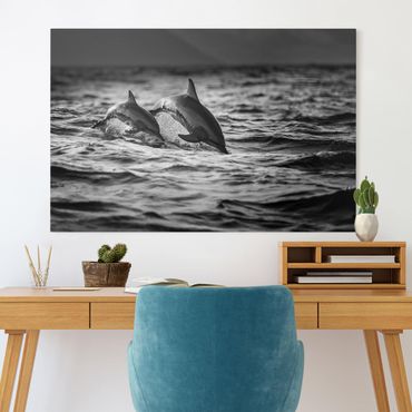 Impression sur toile - Two Jumping Dolphins