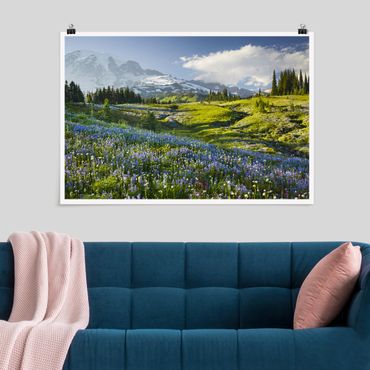 Poster nature & paysage - Mountain Meadow With Blue Flowers in Front of Mt. Rainier