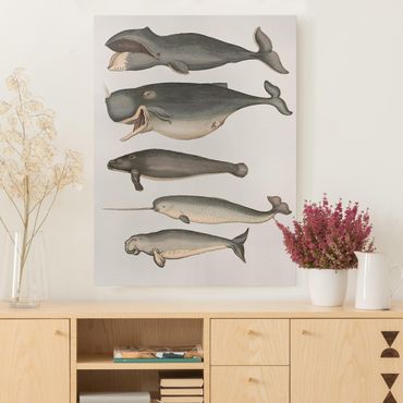 Impression sur toile - Five Vintage Whales