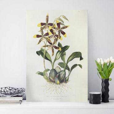 Impression sur toile - Maxim Gauci - Orchid II