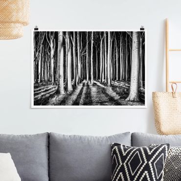 Poster - Spooky Forest