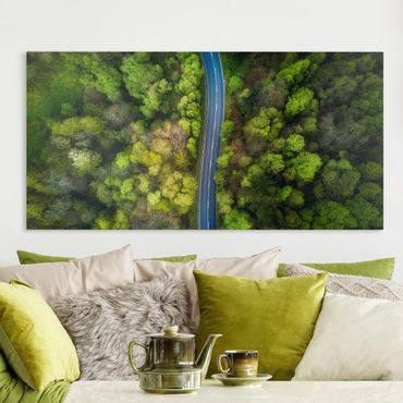 Impression sur toile - Aerial View - Asphalt Road In The Forest
