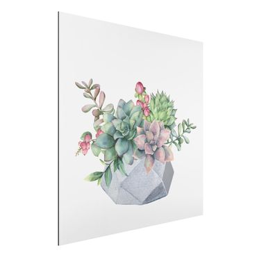 Tableau sur aluminium - Watercolour Succulents Illustration