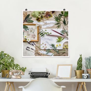 Poster - Flowers And Garden Herbs Vintage