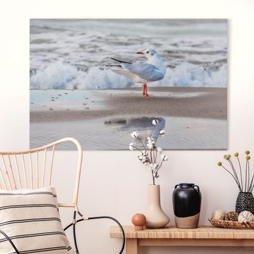 Impression sur toile - Seagull On The Beach In Front Of The Sea