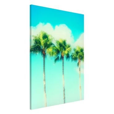 Tableau magnétique - Palm Trees Against Blue Sky
