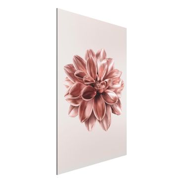 Tableau sur aluminium - Dahlia Flower Rosegold Metallic