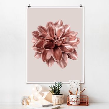 Poster - Dahlia Flower Pink Gold Metallic