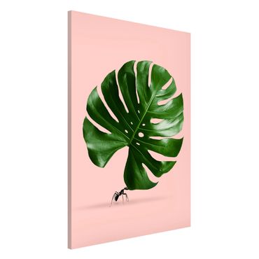 Tableau magnétique - Ant With Monstera Leaf