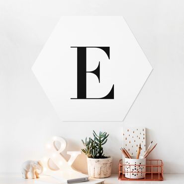 Hexagone en forex - Letter Serif White E