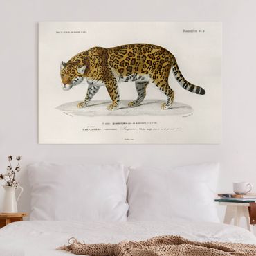Impression sur toile - Vintage Board Jaguar