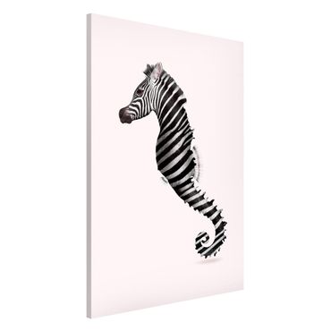 Tableau magnétique - Seahorse With Zebra Stripes
