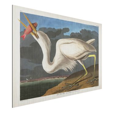 Impression sur aluminium - Vintage Board Great White Egret