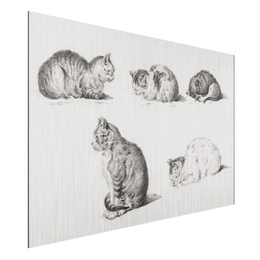 Impression sur aluminium - Vintage Drawing Cat I
