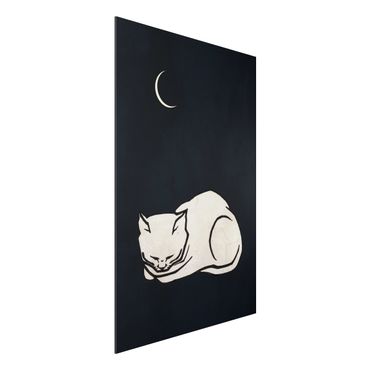 Tableau en alu Dibond - Sleeping Cat Illustration