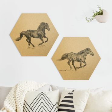 Hexagone en alu Dibond - Wild Horse Study Set I