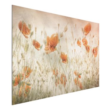 Tableau sur aluminium - Poppy Flowers And Grasses In A Field