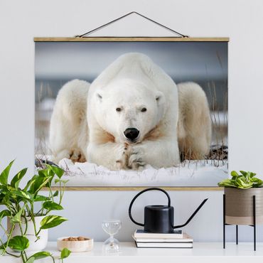 Tableau en tissu avec porte-affiche - Contemplative Polar Bear