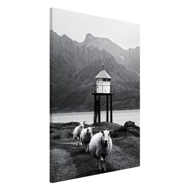 Tableau magnétique - Three Sheep On the Lofoten