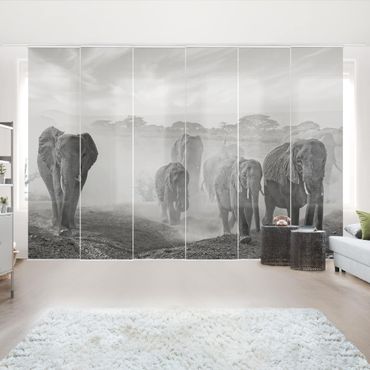 Set de panneaux coulissants - Herd Of Elephants