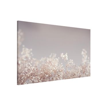 Tableau magnétique - Soft Flowers