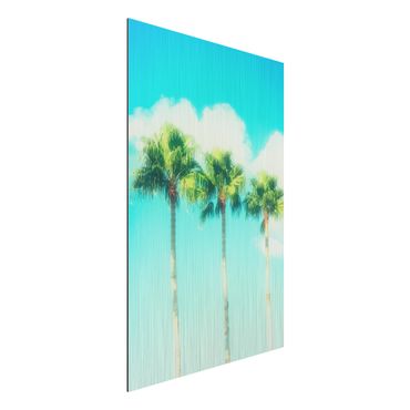 Impression sur aluminium - Palm Trees Against Blue Sky