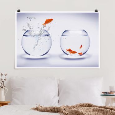 Poster - Flying Goldfish