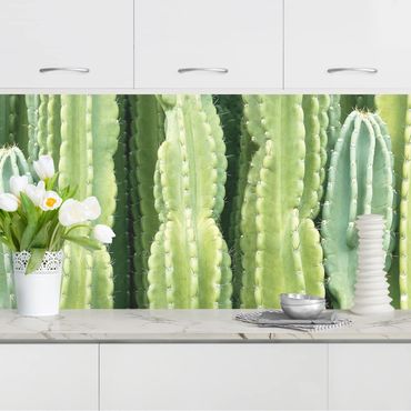 Revêtement mural cuisine - Cactus Wall