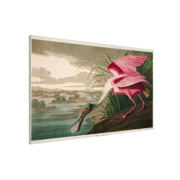 Tableau magnétique - Vintage Board Pink Sturgeon