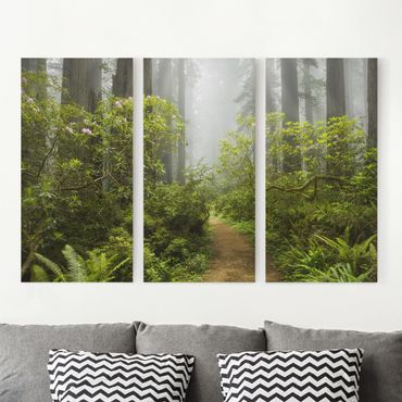 Impression sur toile 3 parties - Misty Forest Path