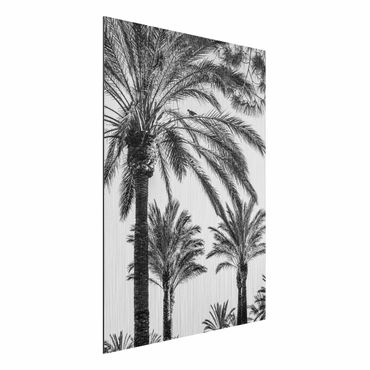 Impression sur aluminium - Palm Trees At Sunset Black And White