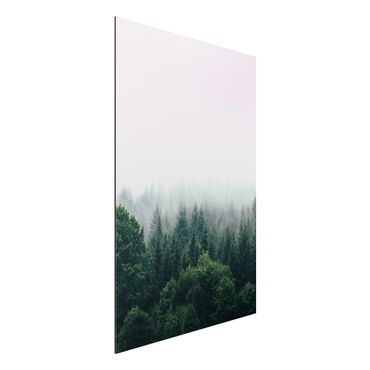 Tableau sur aluminium - Foggy Forest Twilight