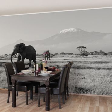 Papier peint - No.287 Elephant In Front Of The Kilimanjaro In Kenya II