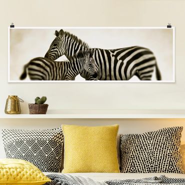 Poster panoramique animaux - Zebra Couple