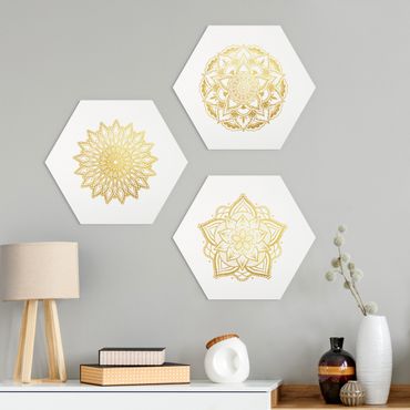 Hexagone en alu Dibond - Mandala Flower Sun Illustration Set Gold