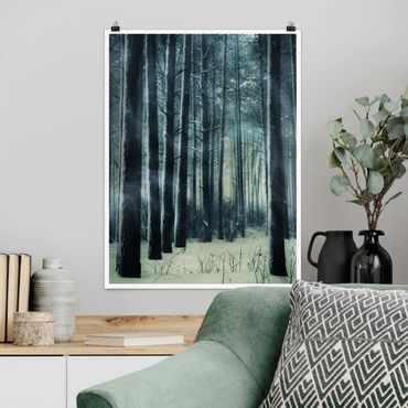 Poster forêt - Mystical Winter Forest