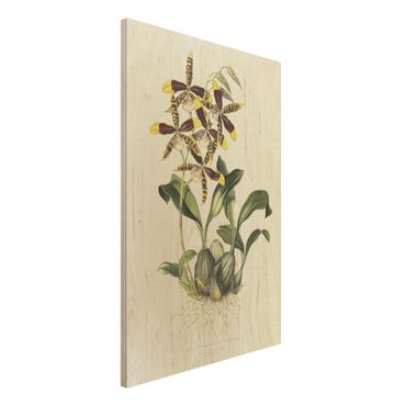 Impression sur bois - Maxim Gauci - Orchid II