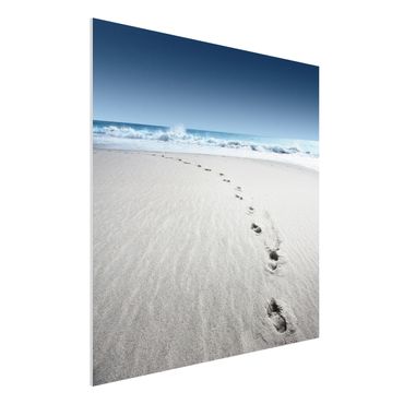 Tableau en forex - Traces In The Sand