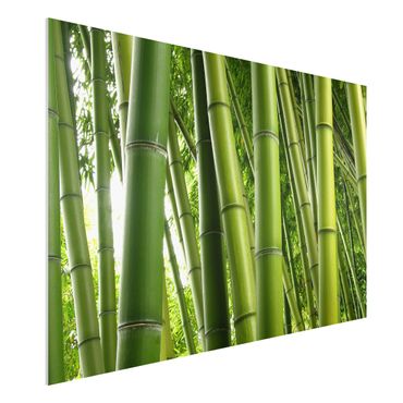 Tableau en forex - Bamboo Trees No.1