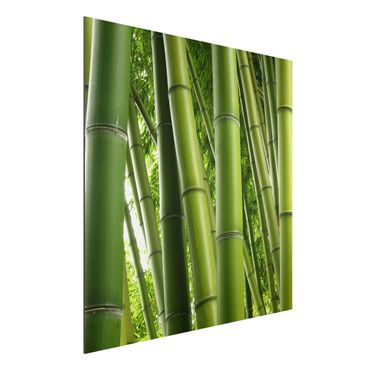 Tableau sur aluminium - Bamboo Trees No.1