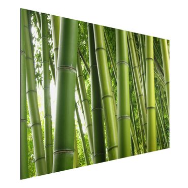 Tableau sur aluminium - Bamboo Trees No.1