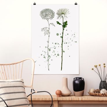 Poster fleurs - Botanical Watercolour - Dandelion