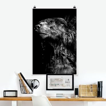 Poster animaux - Bear In The Dark