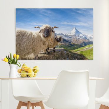 Impression sur toile - Blacknose Sheep Of Zermatt