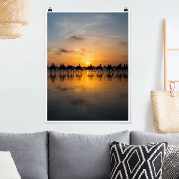 Poster animaux - Camels in the sunset