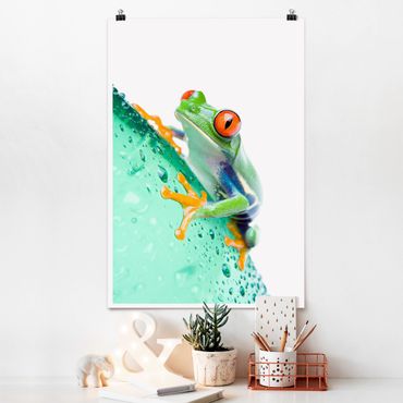 Poster animaux - Frog
