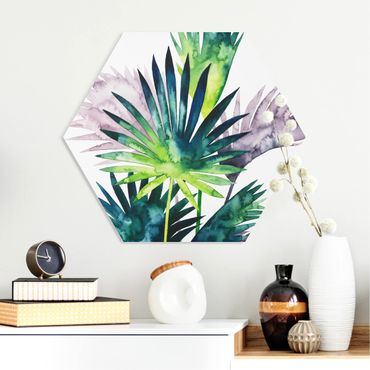 Hexagone en forex - Exotic Foliage - Fan Palm