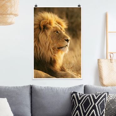 Poster animaux - King Lion